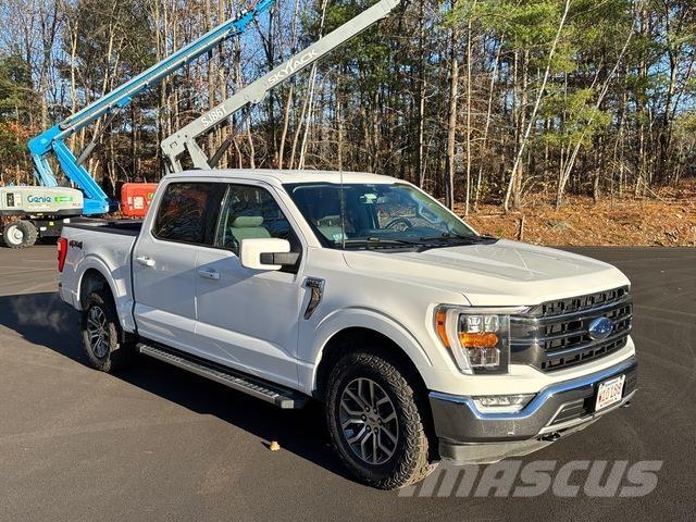 Ford F-150 Bestelwagens met open laadbak