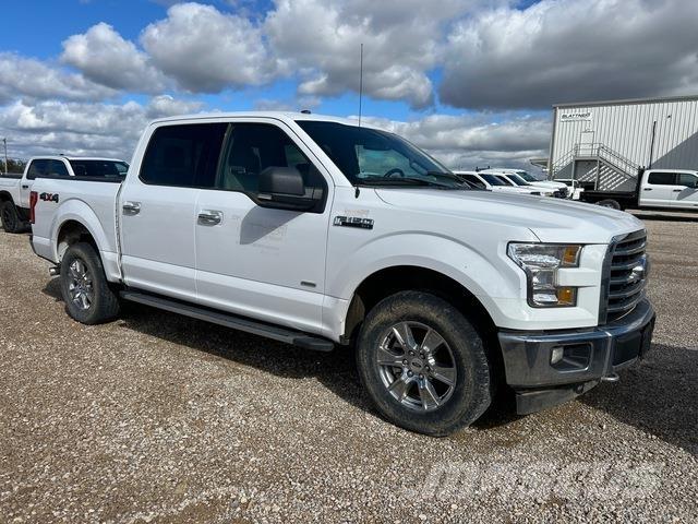 Ford F-150 Bestelwagens met open laadbak