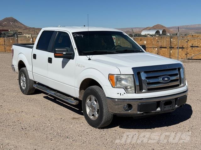 Ford F-150 XLT Bestelwagens met open laadbak