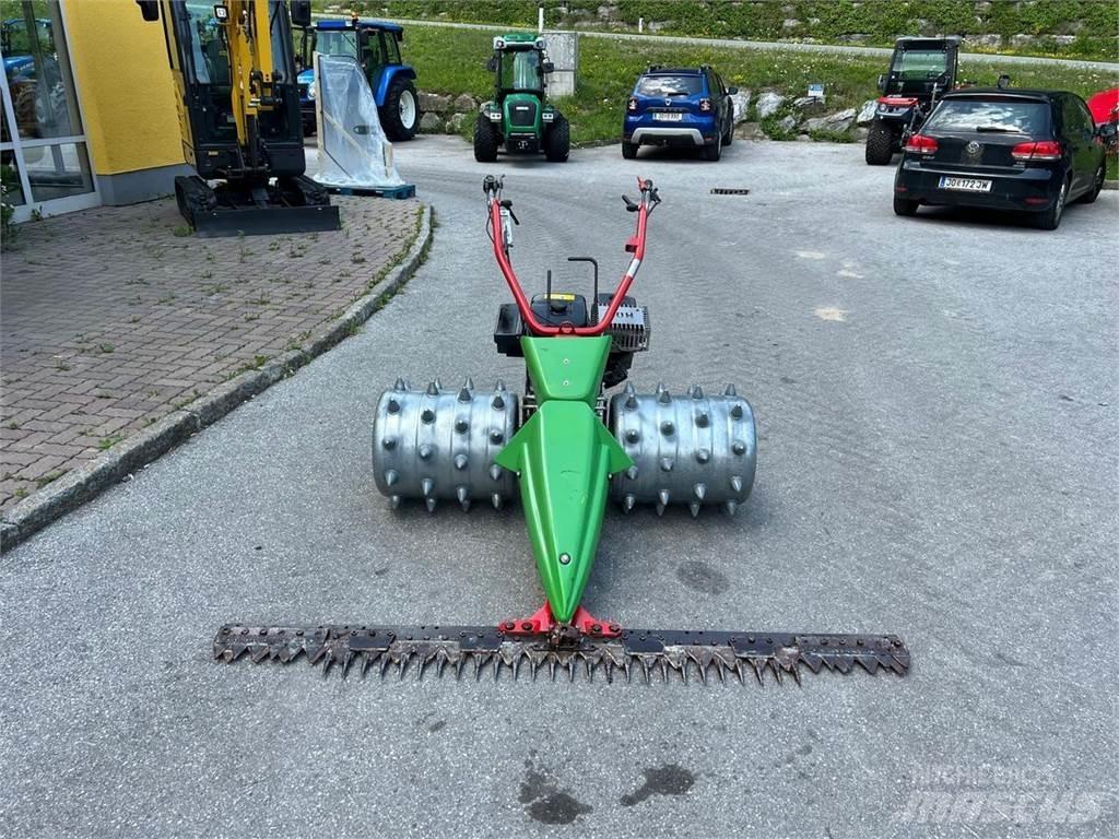Rapid  Rijmaaiers