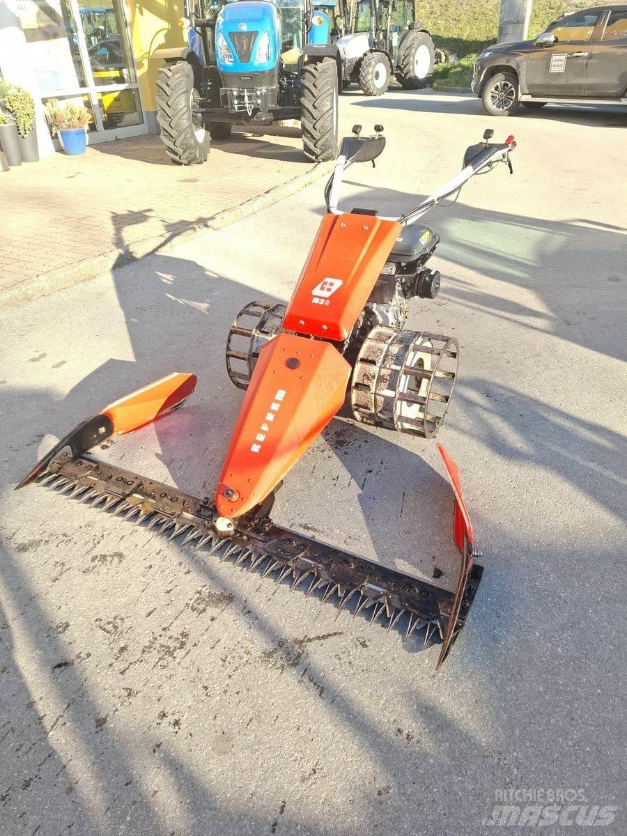 Reform M3S Rijmaaiers