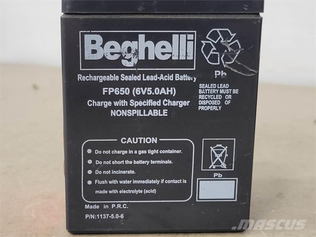 BEGHELLI FP650 Batterijen
