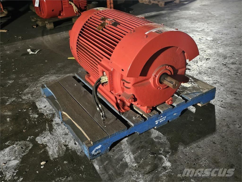 Westinghouse  Industriële motoren