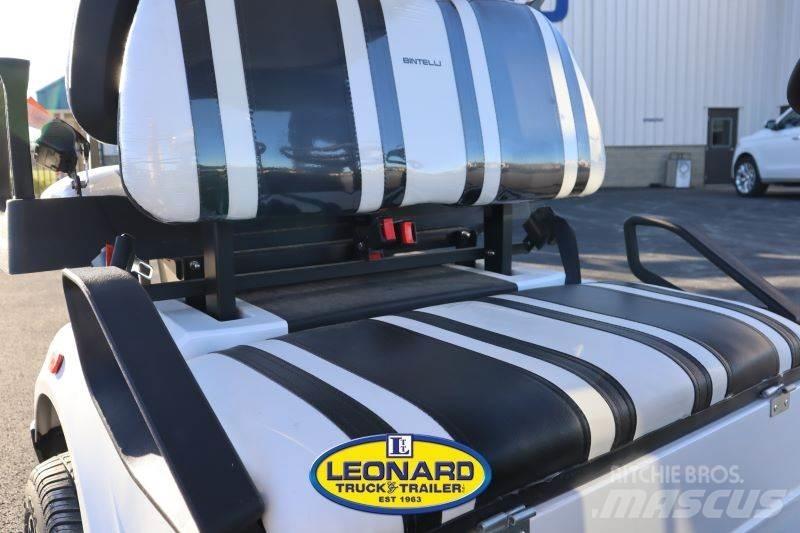  BINTELLI LSV4P Golfkarretjes / golf carts