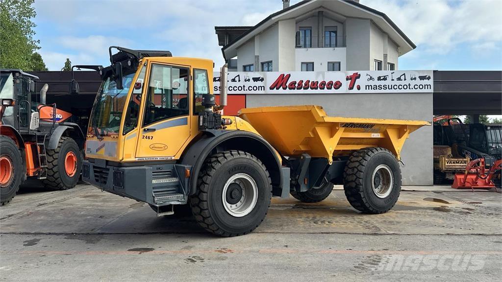 Bergmann 3012 DSK 4X4 Mini Dumpers