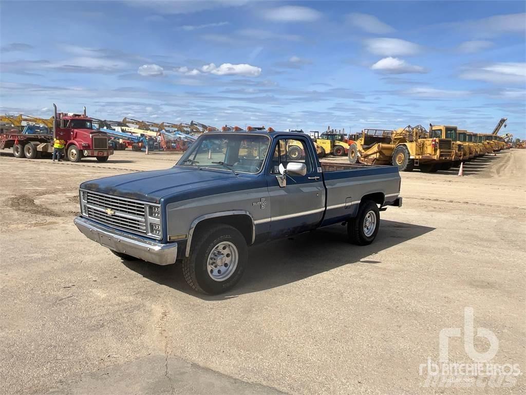 Chevrolet C10 Bestelwagens met open laadbak