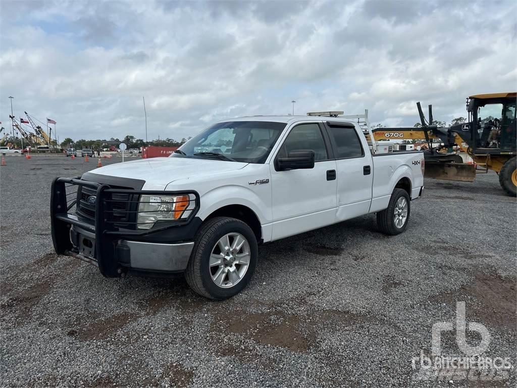 Ford F-150 Bestelwagens met open laadbak