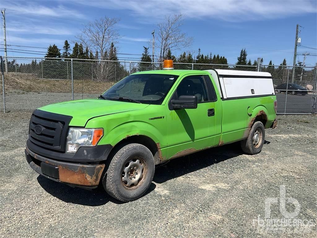 Ford F-150 Bestelwagens met open laadbak
