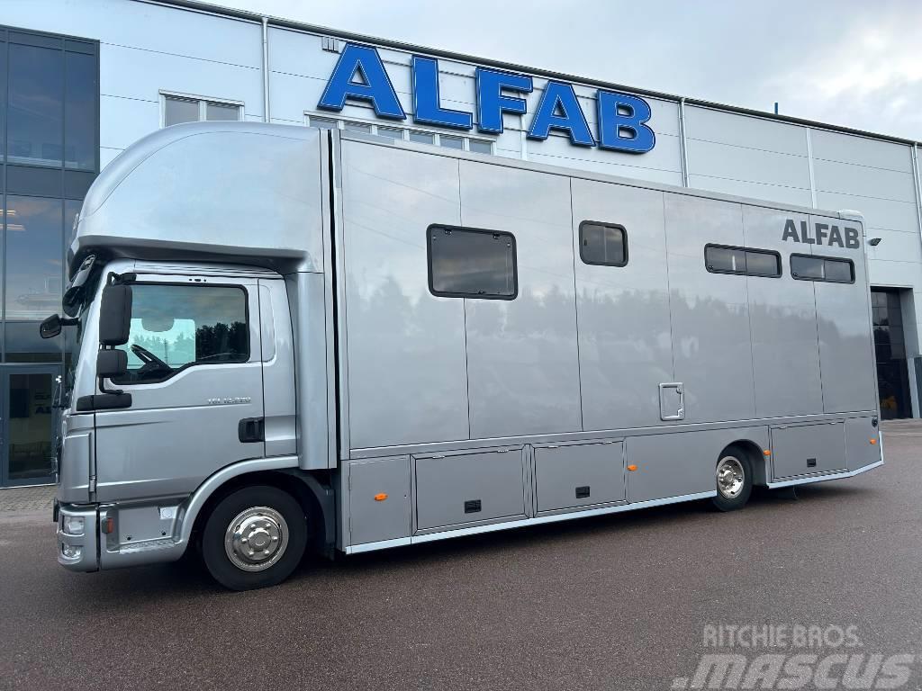 MAN ALFAB Comfort hästlastbil Dieren transport trucks