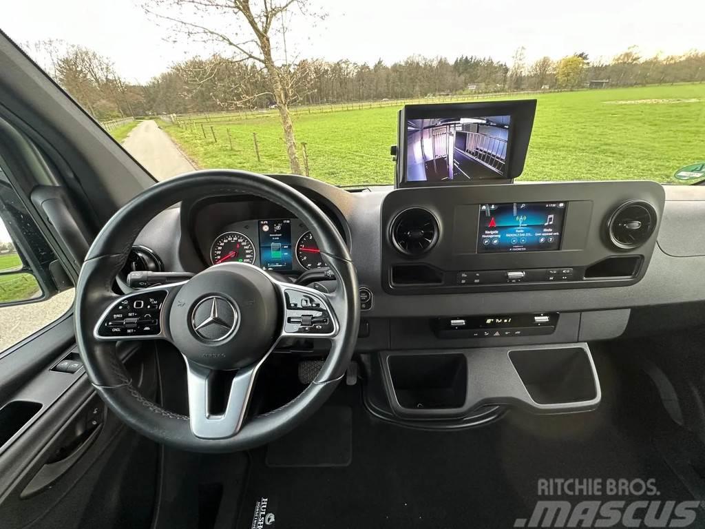 Mercedes-Benz Sprinter AMG 2-paards paardenvrachtwagen B-rijbewi Dieren transport trucks