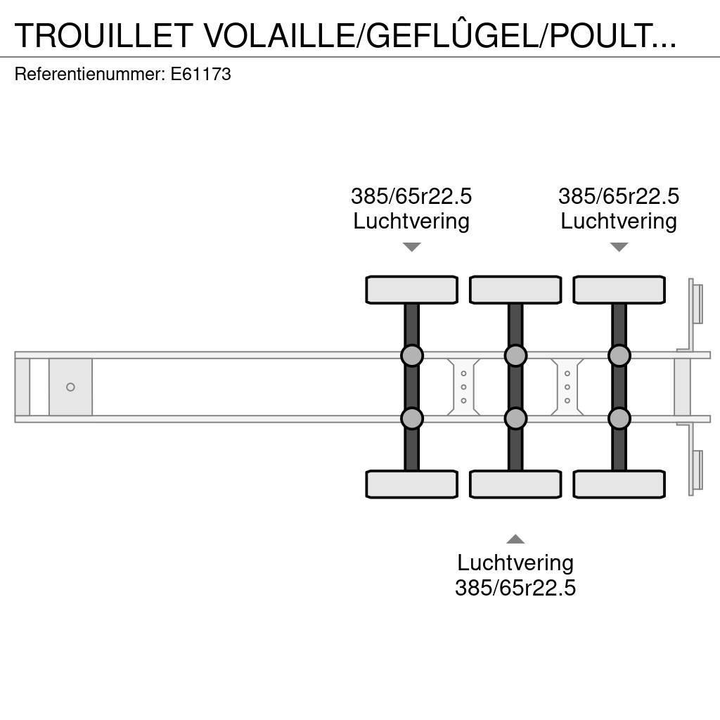 Trouillet VOLAILLE/GEFLÛGEL/POULTRY+HAYON Gesloten opleggers