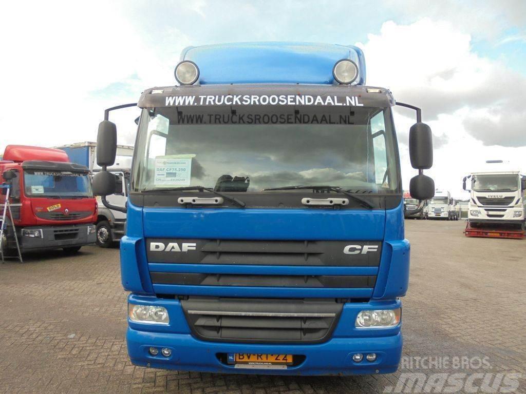 DAF CF 75.250 + Euro 5 Chassis met cabine