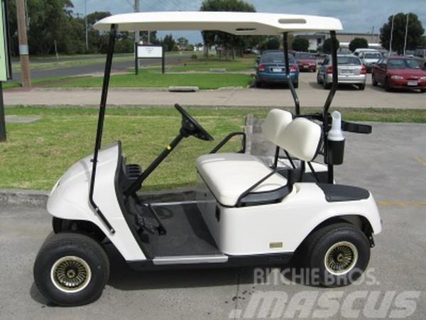 EZGO Rental 2-Seater Golf Car Golfkarretjes / golf carts