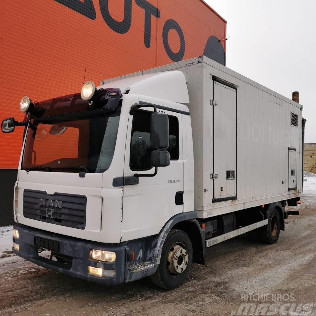 MAN TGL 8.210 Livestock box Dieren transport trucks