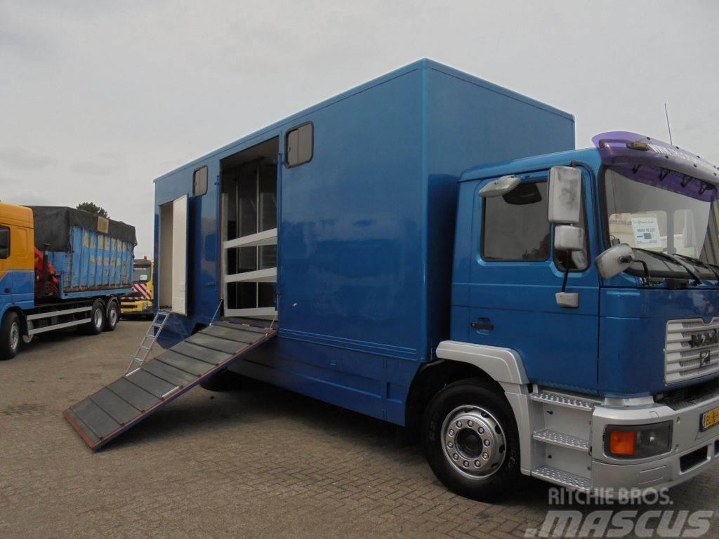 MAN 12 .225 + MANUAL Dieren transport trucks
