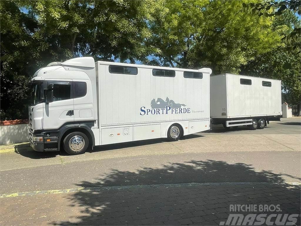SCANIA R310 mit Spier Hänger 15 Pferde Dieren transport trucks